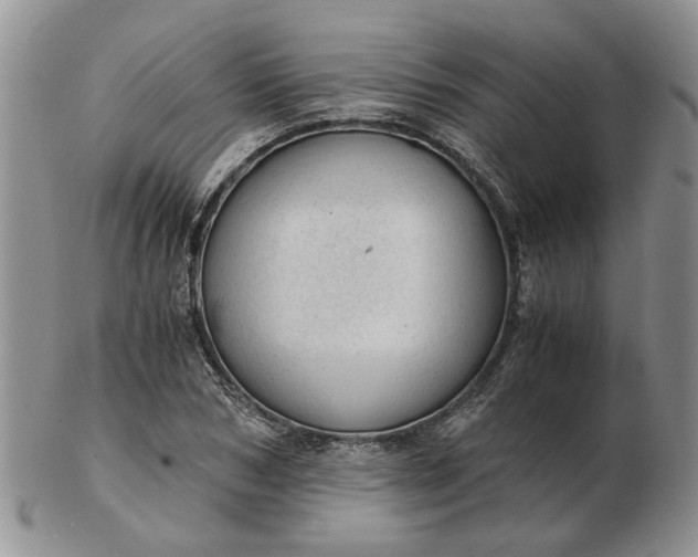 X0000103160978200809051656