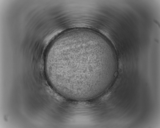 X0000103160979200809051656