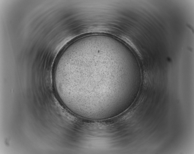 X0000103160980200809051656