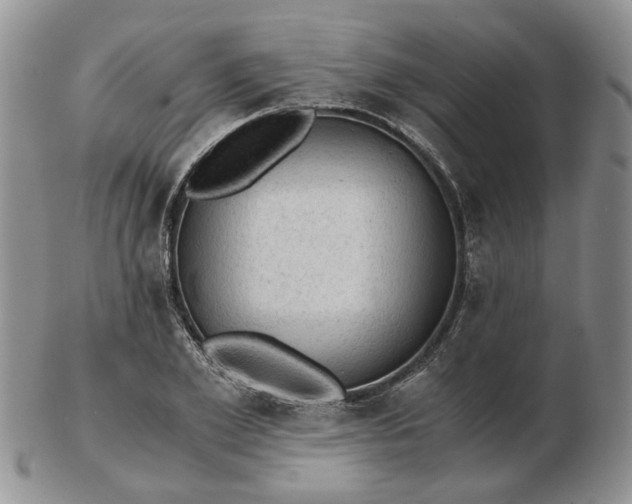 X0000103160981200809051656