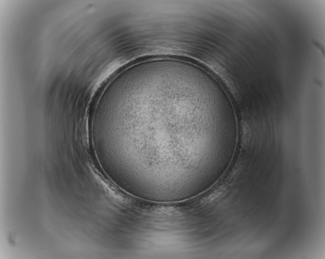 X0000103160982200809051656