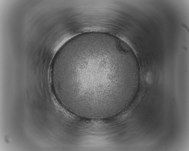 X0000103160983200809051656