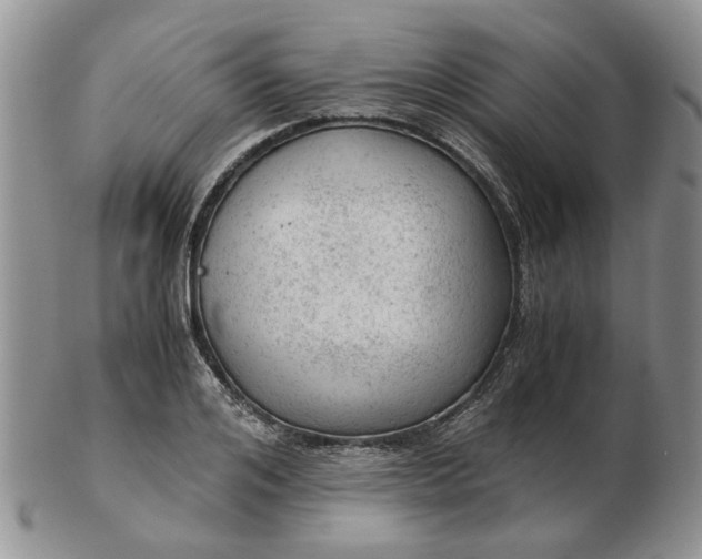 X0000103160984200809051656