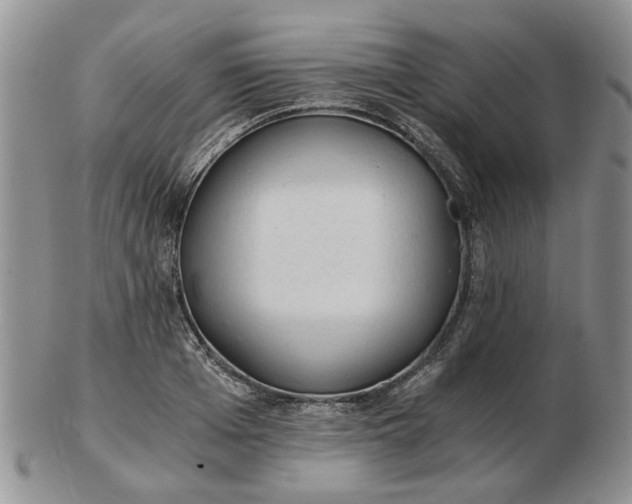 X0000103160985200809051656