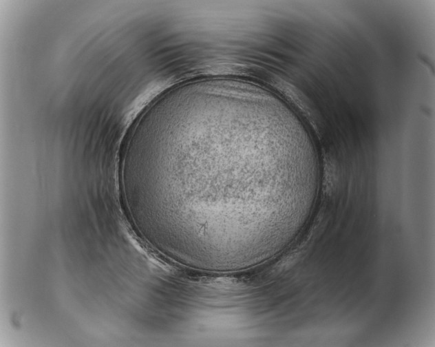 X0000103160986200809051656