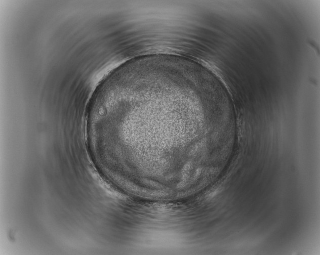 X0000103160987200809051655