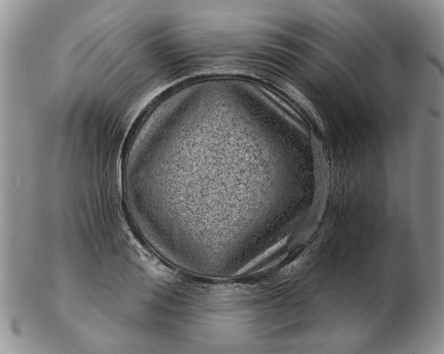 X0000103160988200809051655