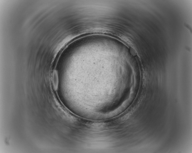 X0000103160989200809051655