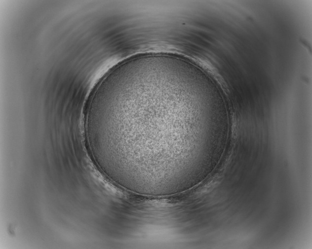 X0000103160990200809051655