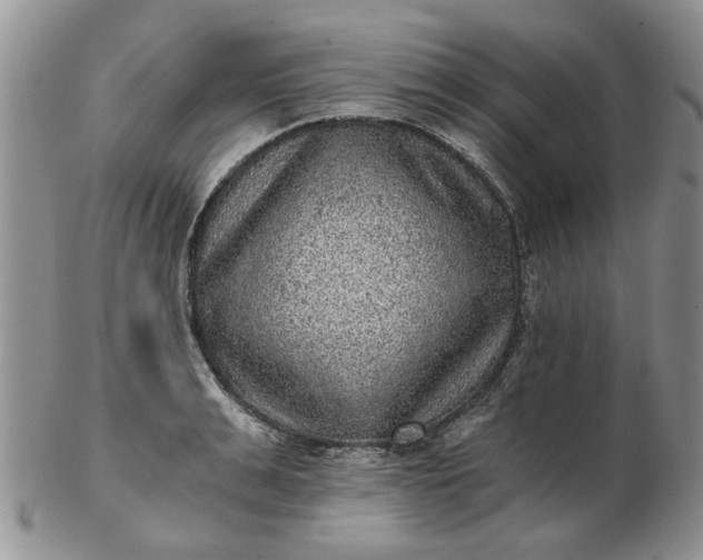 X0000103160991200809051655