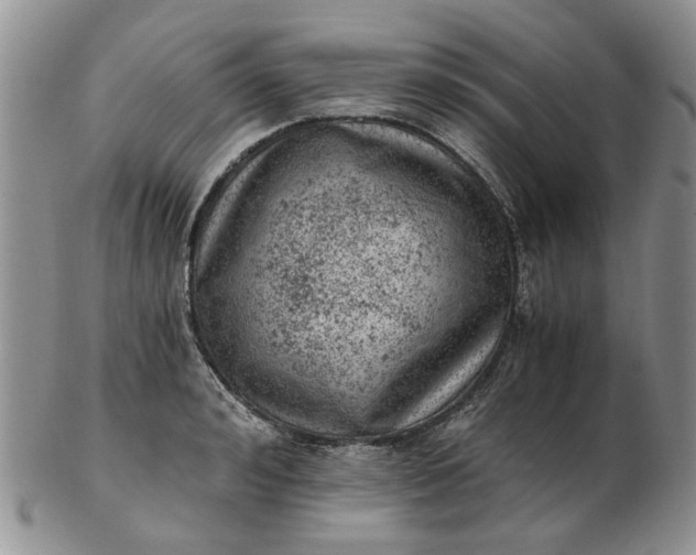 X0000103160992200809051655