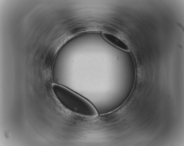 X0000103160993200809051655