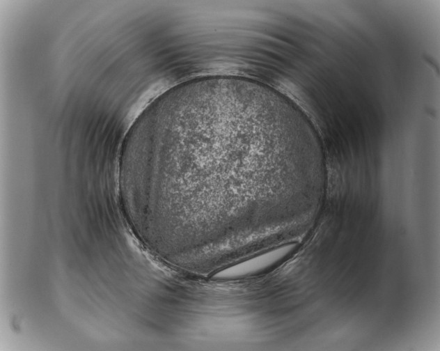 X0000103160994200809051655