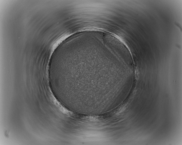 X0000103160995200809051655