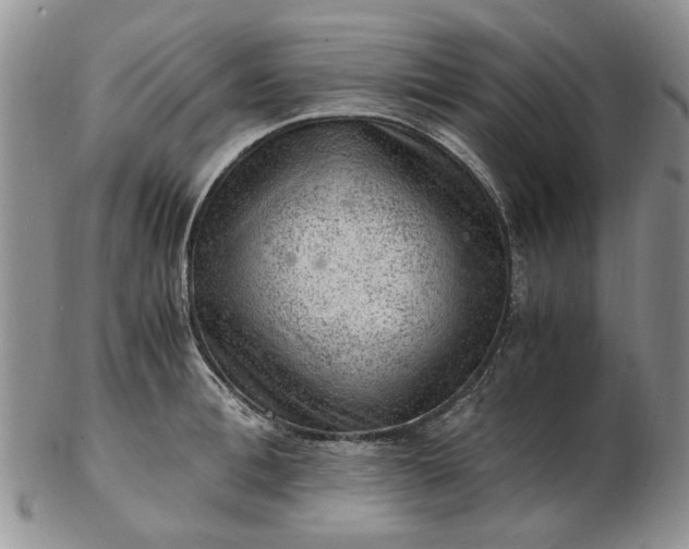 X0000103160996200809051655