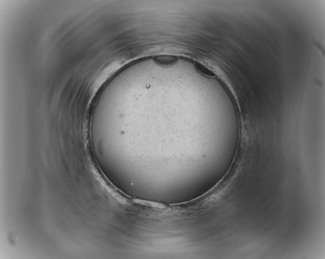 X0000103160997200809051655