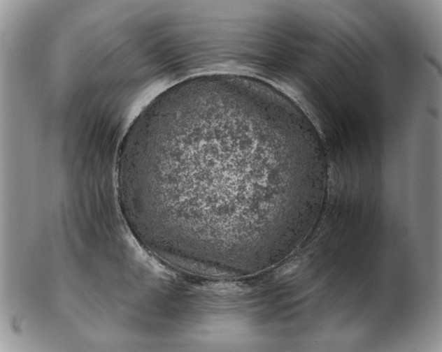 X0000103160998200809051655