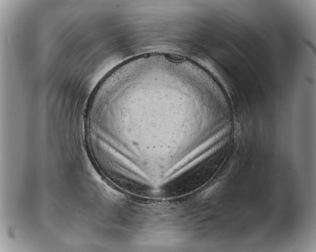 X0000103160999200809051655