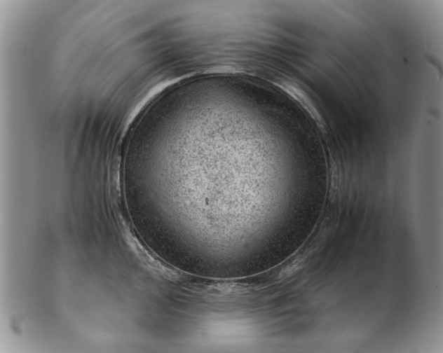 X0000103161000200809051655