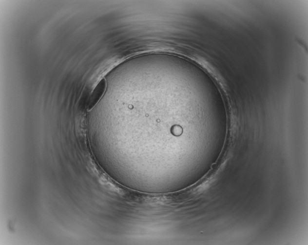 X0000103161001200809051655