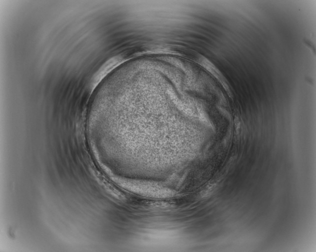 X0000103161002200809051655