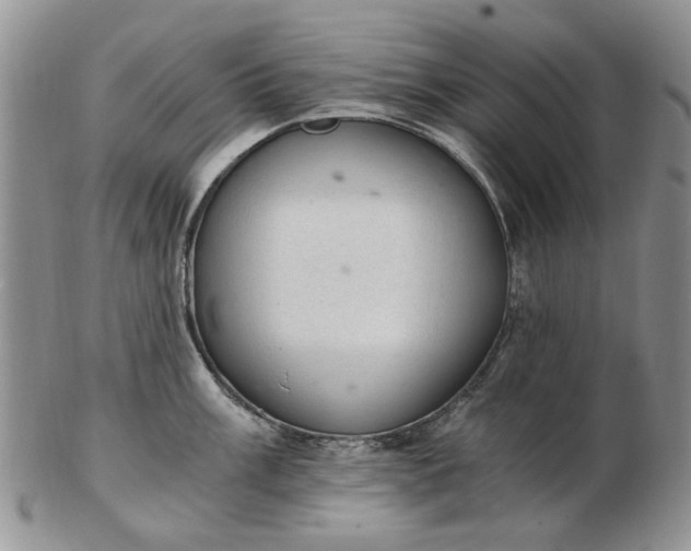 X0000103161003200809051655