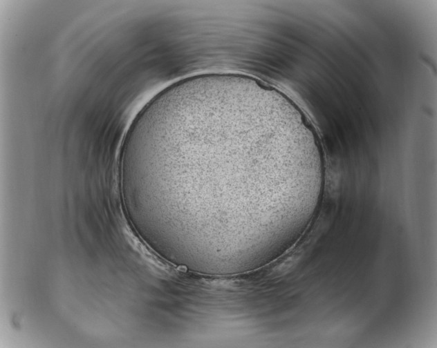 X0000103161004200809051655