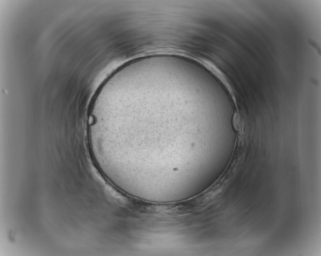 X0000103161005200809051655