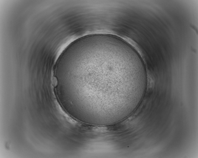 X0000103161006200809051655