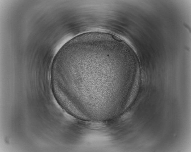 X0000103161007200809051655