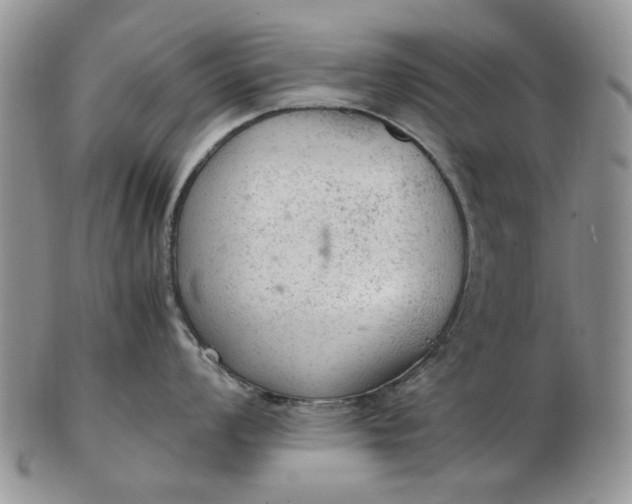 X0000103161008200809051655