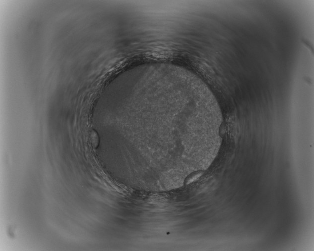 X0000103161009200809051655