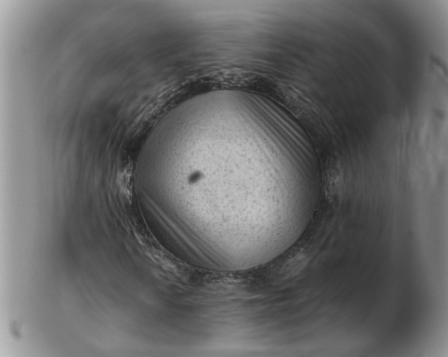 X0000103161010200809051655