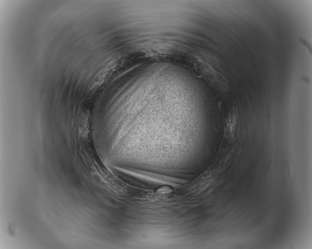 X0000103161012200809051655