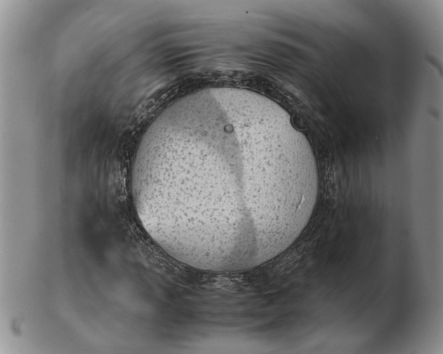 X0000103161013200809051655