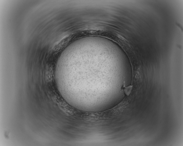 X0000103161014200809051655