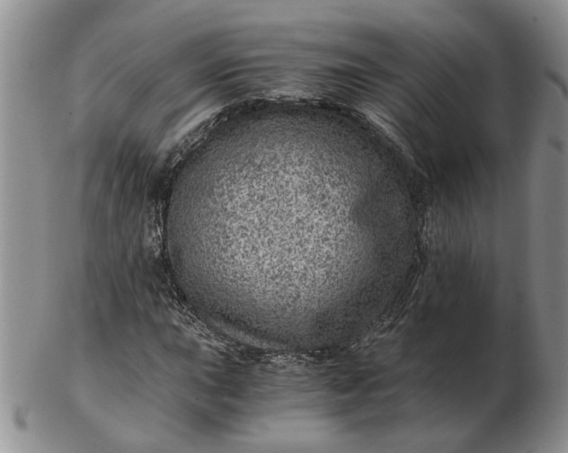 X0000103161015200809051655