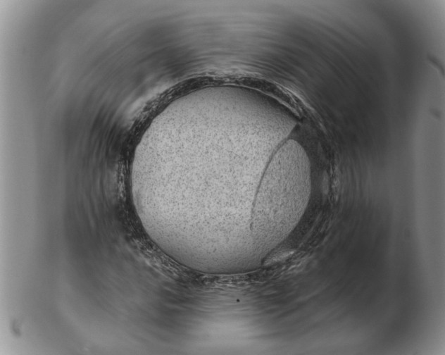 X0000103161016200809051655