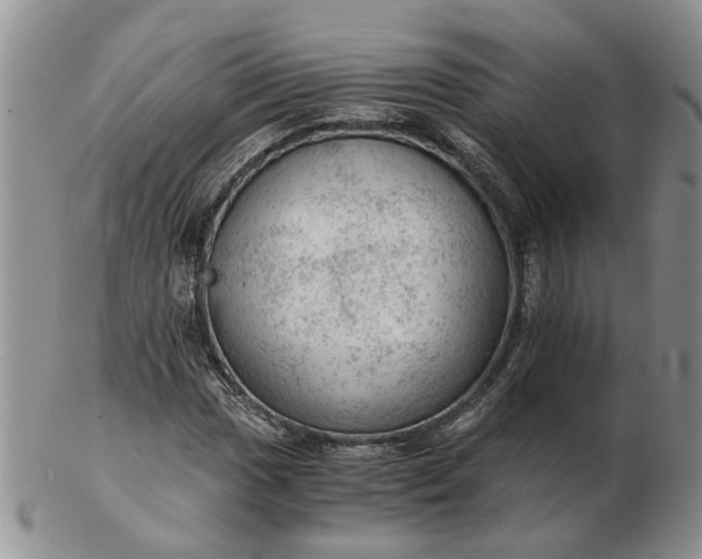 X0000103161017200809051655