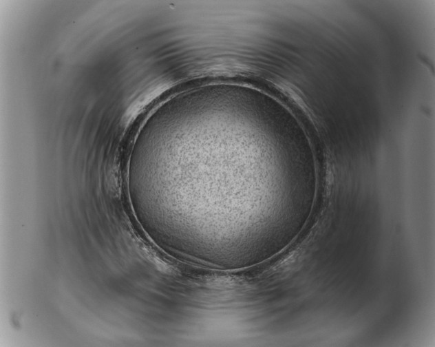 X0000103161018200809051655