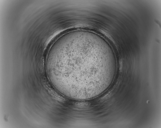 X0000103161021200809051655