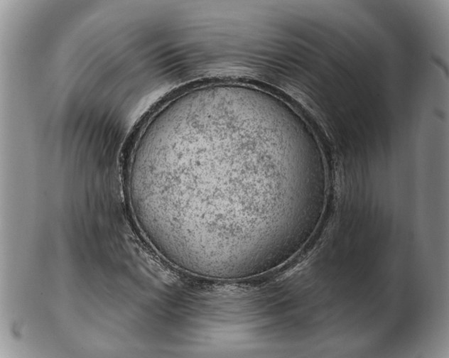 X0000103161022200809051655