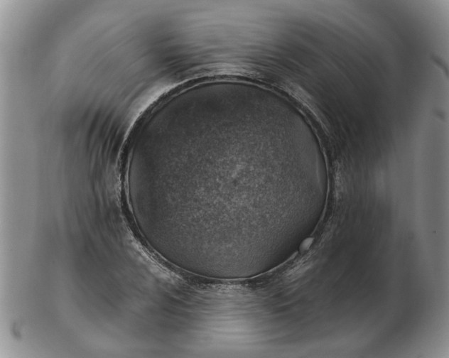 X0000103161024200809051655