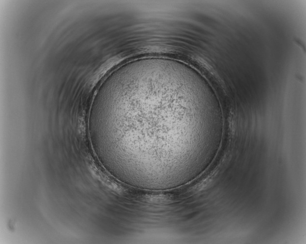 X0000103161025200809051655