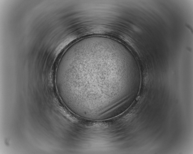 X0000103161026200809051655