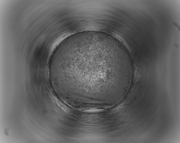 X0000103161027200809051655