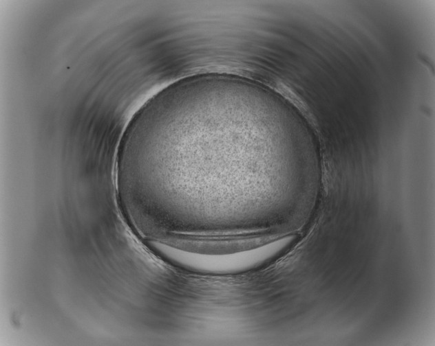 X0000103161028200809051655