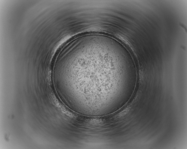 X0000103161029200809051655