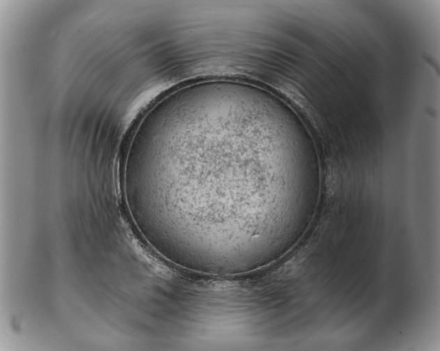 X0000103161030200809051655