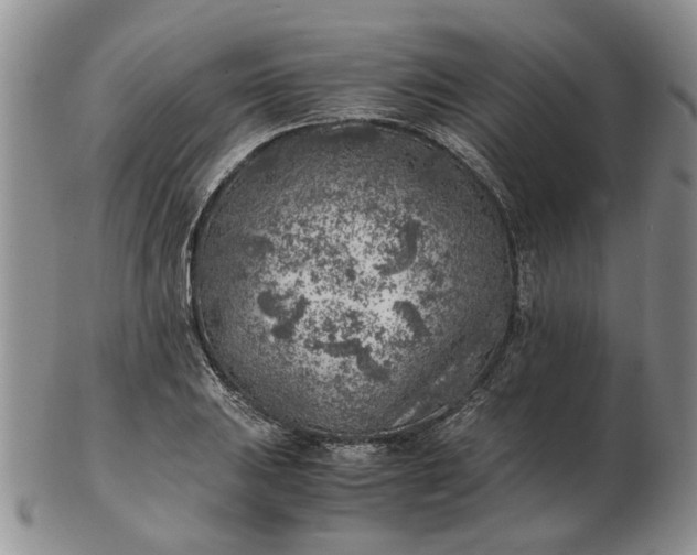 X0000103161031200809051655